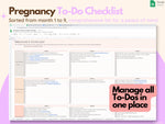 Pregnancy Planner & Journal Google Spreadsheet