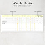 Daily Habit Tracker Spreadsheet